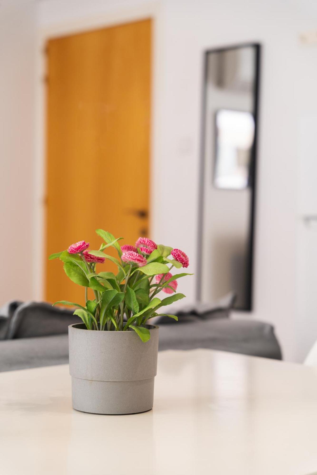 Kave Blue Mackenzie 1 Bdr Flat With Pool Appartement Larnaca Buitenkant foto
